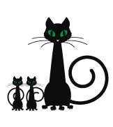 Prancheta 1 cópia 7