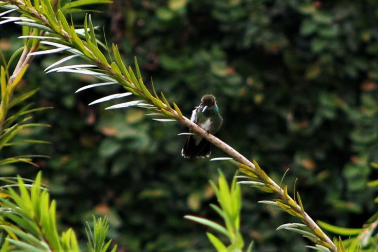 beija 6546313911..jpg