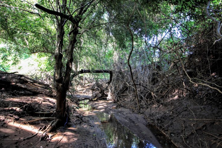 img_5621 (2)5903984866860558786..jpg