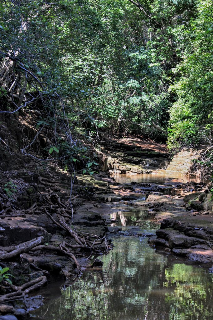 img_5637 (2)5955422605866804204..jpg